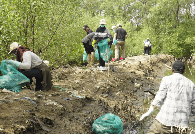  Diinisiasi Mitra Bentala dan Kelurahan, Mahasiswa Ikut Bersihkan Sampah Hutan Mangrove Kotakarang Telukbetung Timur