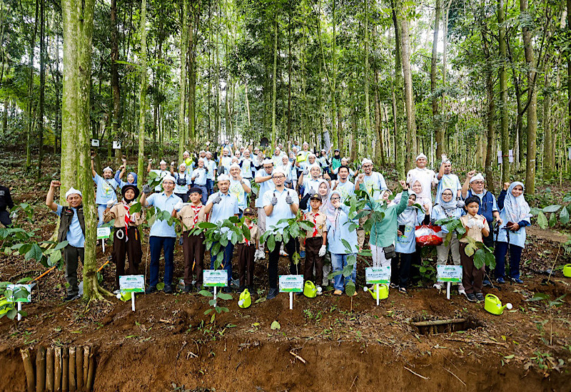  Kerja Sama dengan Yayasan Hutan Organik, PLN Nusantara Power Tanam 3.000 Bibit Pohon di Megamendung