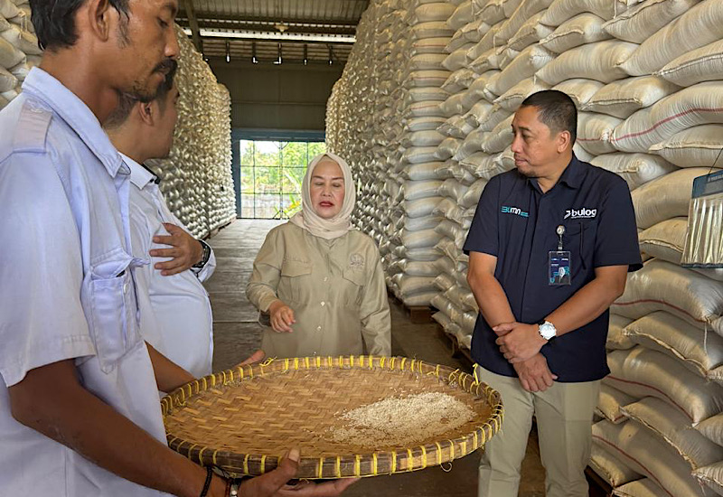  Dwita Ria Tinjau Gudang Bulog Lampung, Pastikan Stok Beras Aman