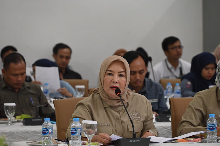  Dwita Ria Gunadi Dorong Implementasi Permentan dalam e-RDKK dan Penguatan Distribusi Pupuk Subsidi