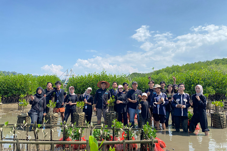  Restorasi Lingkungan di Desa Sidodadi, BEM FTIK Universitas Teknokrat Indonesia Tanam 1.000 Bibit Mangrove