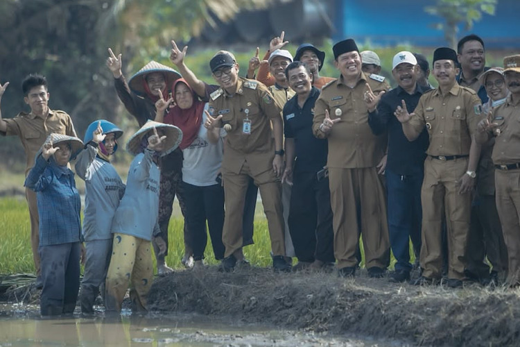  Terobosan Gubernur Mirza di Lampung Timur: Sukses Dongkrak Hasil Panen 7 Ton per Hektare Lewat Drone dan POC Gratis