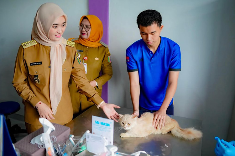  Wagub Jihan Nurlela: Rumah Sakit Hewan Provinsi Lampung Beroperasi Penuh Dua Pekan Lagi