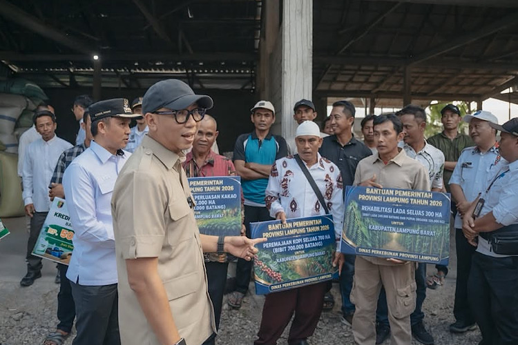 Tinjau Gudang Gabah Bandar Negeri Suoh, Gubernur Lampung Rahmat Mirzani Djausal Serahkan Bantuan KUR