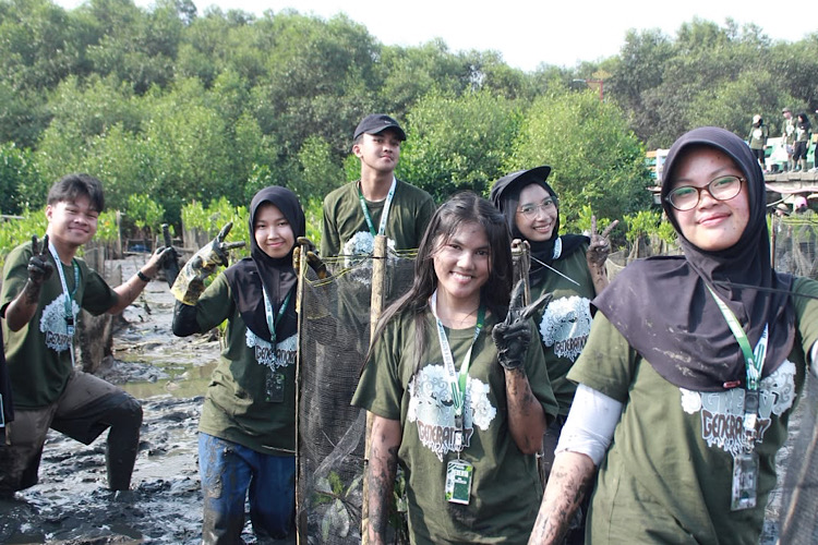  Keren! Model Asal Lampung Dinda Fitria Maharani Turun Aksi Tanam Mangrove di Pulau Pasaran